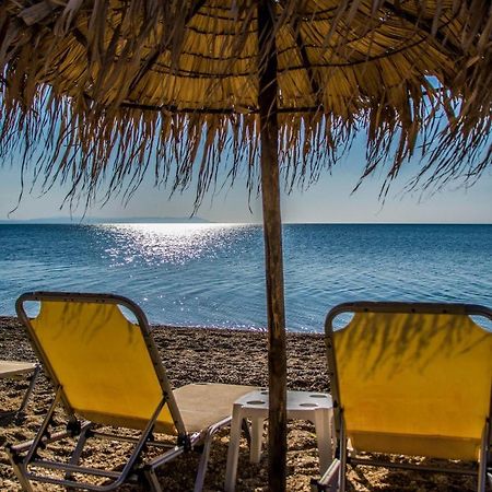 Philoxenia Beach Vrasná 外观 照片